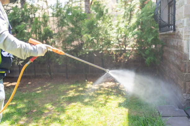 Best Affordable Pest Control Services  in Virginia, MN